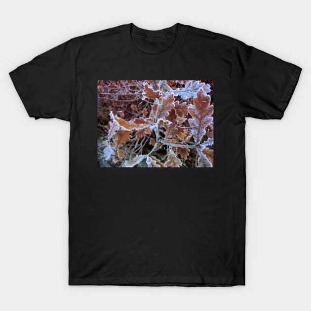 Oak leaves in frost T-Shirt by WesternExposure